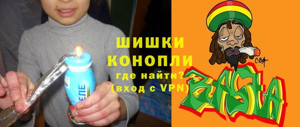ГАЛЛЮЦИНОГЕННЫЕ ГРИБЫ Верея