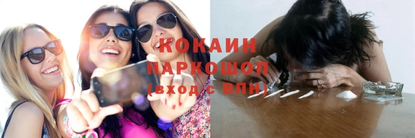 ГАЛЛЮЦИНОГЕННЫЕ ГРИБЫ Верея