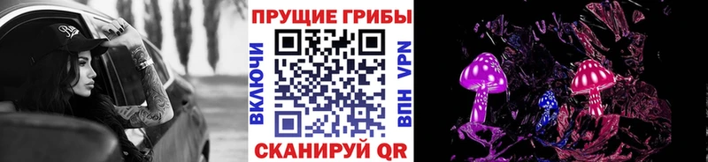 Галлюциногенные грибы Cubensis Луга